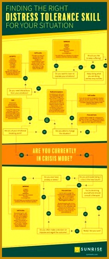 Dbt flow chart 518219