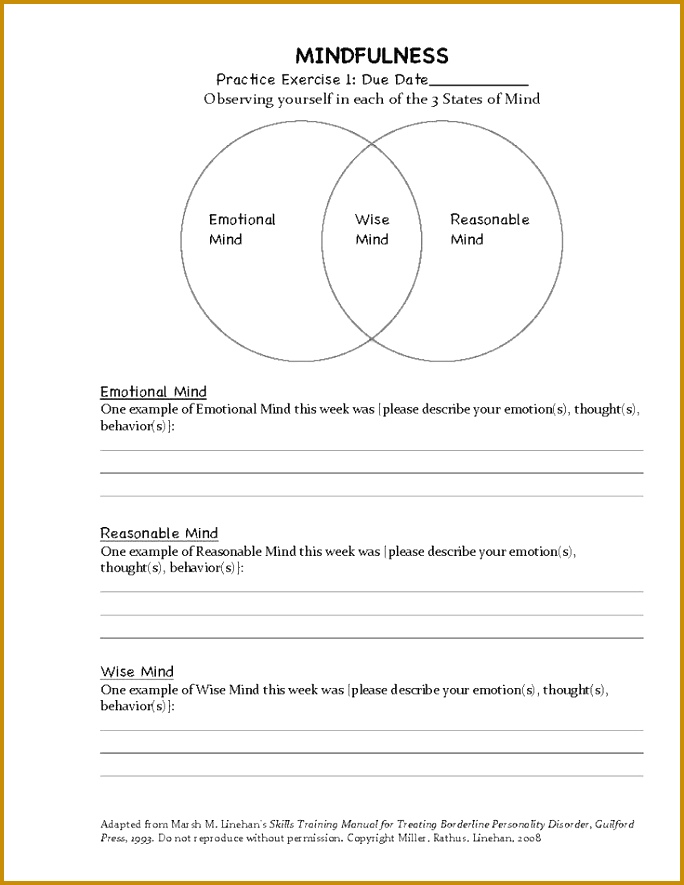 DBT Mindfulness Exercise With 3 Mind States 885684