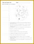 6 Cell organelles Worksheet