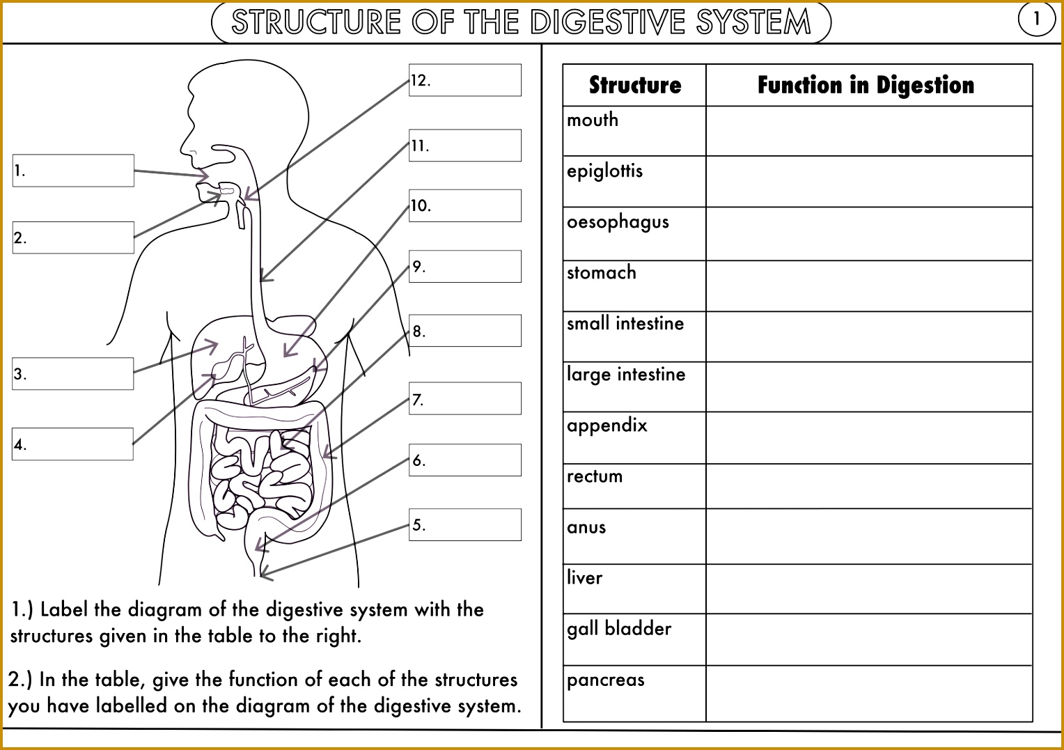Plant Reproduction Worksheet Pack By Beckystoke Teaching Plant Resources Tes Image Teach Full Size 10771528