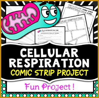 Cellular Respiration Project ic Strip 324325