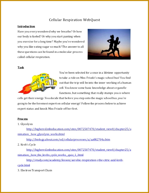 Cellular Respiration WebQuest Introduction Have you every wondered why we breathe 768593