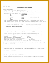 3 Pages CellResp Puzzle 0 216167