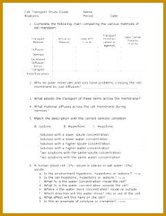 Cell Transport Study Guide 312241
