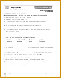 Cellular Transport and the Cell Cycle Worksheet 271212