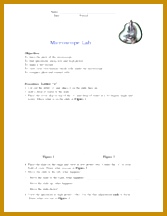 4 pages microscope lab cells 216167