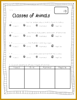 This is a great resource to supplement a unit on animals This product contains Classifying 325251
