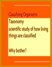 Classifying Organisms Taxonomy scientific study of how living things are classified Why bother Why do Scientists Classify 216167
