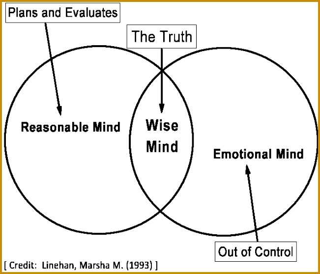 DBT Mindfulness Handout 1 Bing 558651