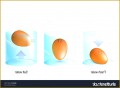 7 Density Worksheet