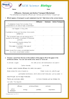 Diffusion Osmosis and Active Transport Worksheet ylyan 1 9d aa46c59ba3c64c0d616a1fa2c 260x520 341241