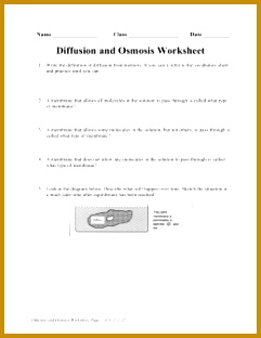 Rachel Hurlbut Sept 3 Bio 10 Diffusion Diffusion Osmosis Osmosis rkhzt 1 dc361cd8969a04d95c6f06c21a8eab3f 260x520 312241