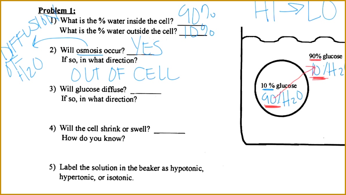 Diffusion Osmosis Practice Problems vv5i6 Diffusion Osmosis Practice Problems 1190669