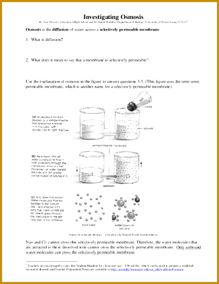 Investigating Osmosis Worksheet for 7th Higher Ed vdvqc bwluav9tywdpy2symde3mdmymi0zodq5ltewexl2nw0uanbn 558431