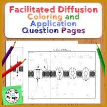 Cell Membrane Transport Worksheet Osmosis Diffusion 2Gfvb Cell Transport Facilitated Diffusion Coloring Page and Application Questions 219219