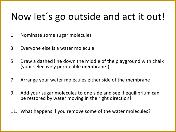 Diffusion and osmosis homework powerpoint wAkgs 12 507677