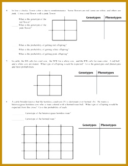 Genetics Practice Problems Worksheet In plete Dominance Nondominance 325251