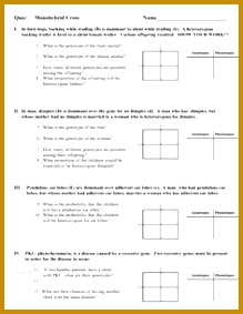 worksheets on monohybrid cross Google Search 283219