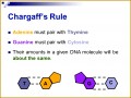 3 Dna the Molecule Of Heredity Worksheet