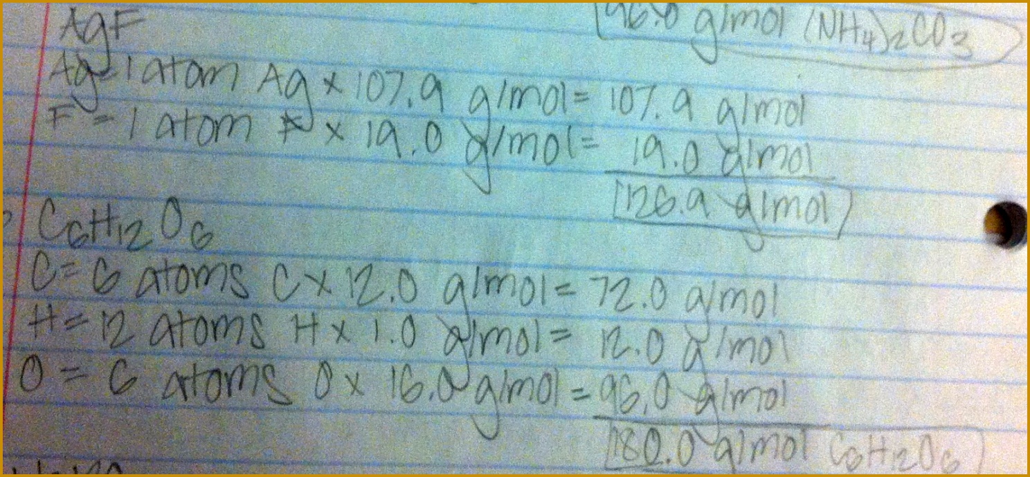 IMG 0478 JPG 6901488