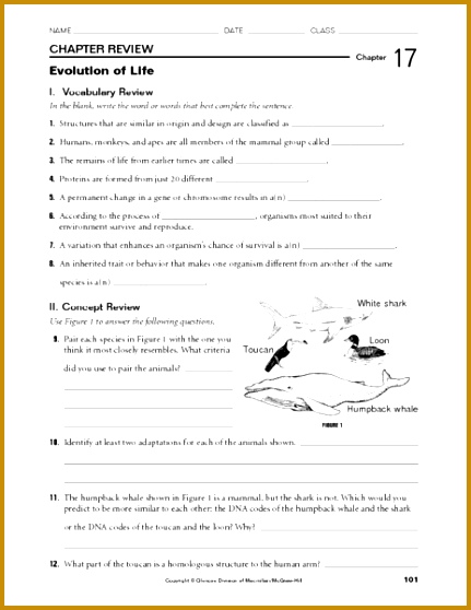 Bill nye greatest discoveries evolution worksheet intrepidpath answers worksheets for kids 558431
