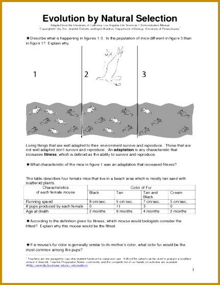 Printables Evolution Worksheet evolution by natural selection 6th 9th grade worksheet lesson planet 558431