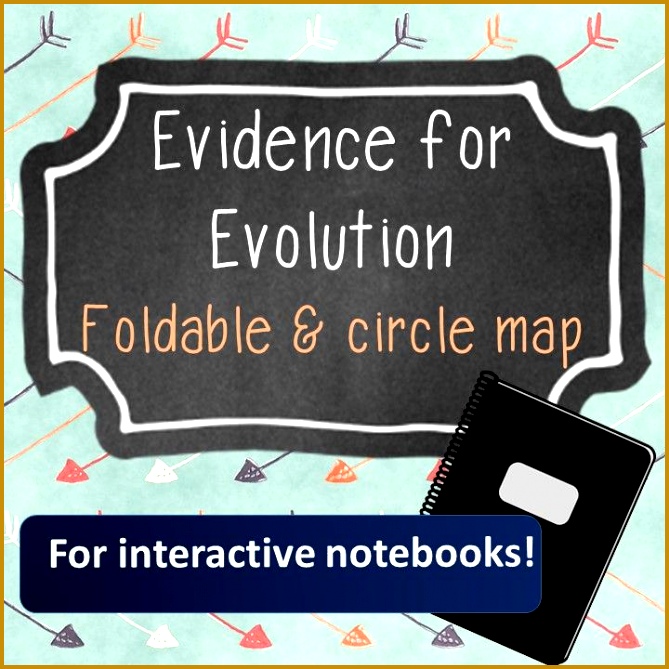 Evidence for Evolution Foldable Notes and Interactive Notebook Activity 669669
