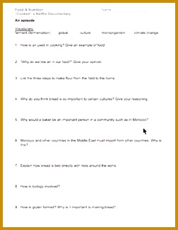 a Netflix Documentary Air episode worksheet · " 325252