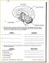 7 Functions Worksheet Pdf