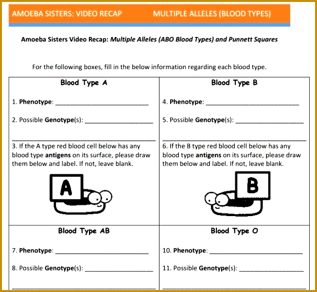 5 Genotype and Phenotype Worksheet Answers | FabTemplatez