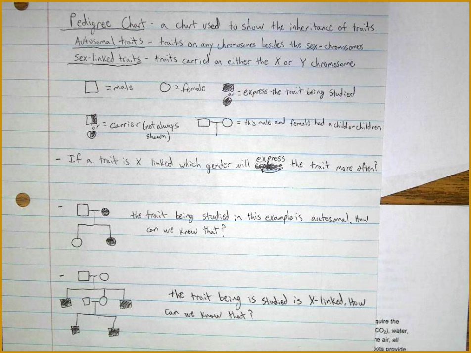 Linked Worksheet Worksheets for all Download and Worksheets 714952