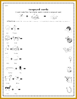 10 Worksheets for 1st Grade Language Arts Contractions with not 2sheets 251325