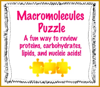 Macromolecules Tarsia Puzzle qjhxh Macromolecules Tarsia Puzzle 281325