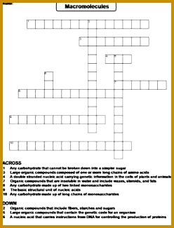 Macromolecules Worksheet Crossword Puzzle by Science Spot selkb Macromolecules Worksheet Crossword Puzzle 248325