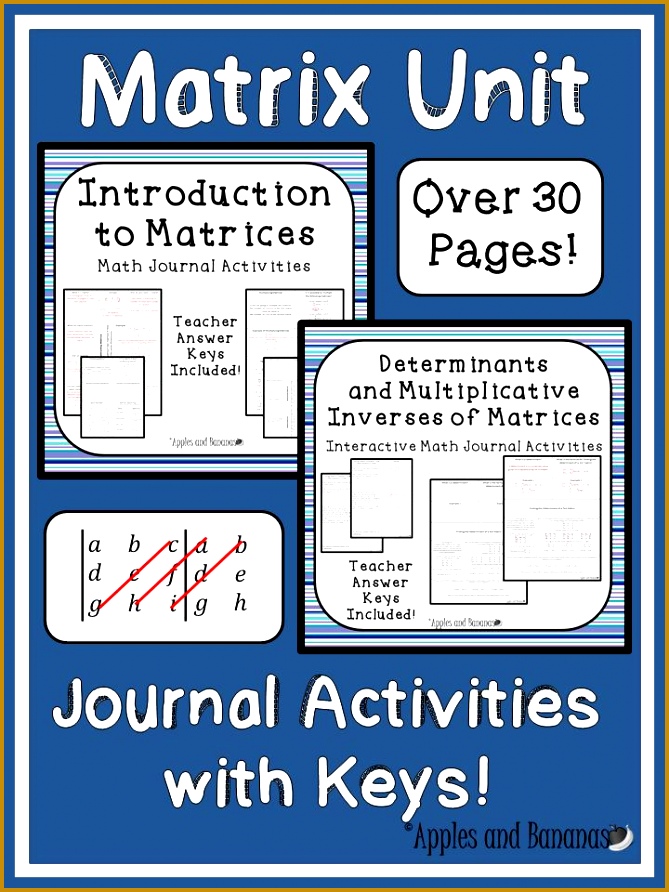 Two best selling matrix bundles in one Introduction to Matrices and Determinants & Multiplicative 892669