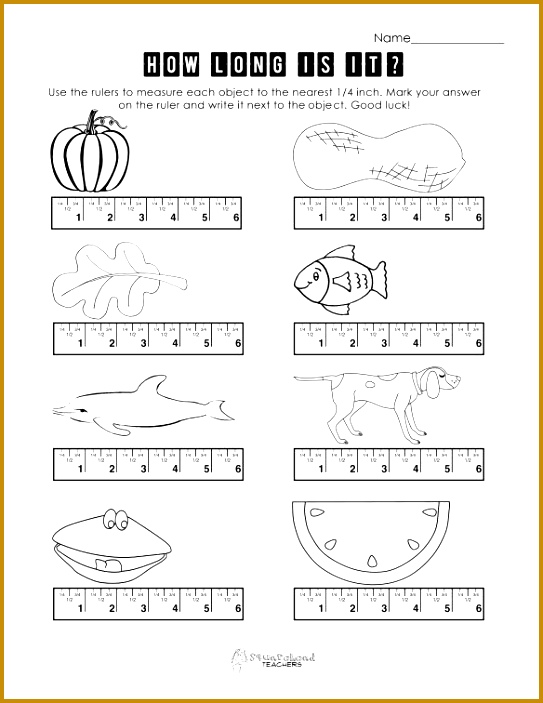 Squarehead Teachers measurement worksheet 2 FREE 703543