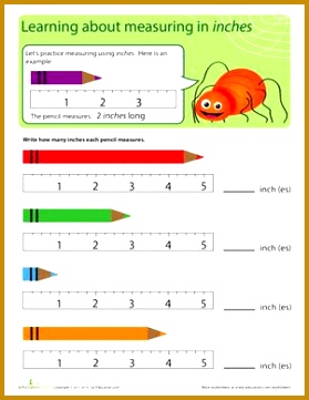 Measuring Inches Inching Insects 279361