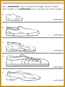 Inches Worksheet 291219
