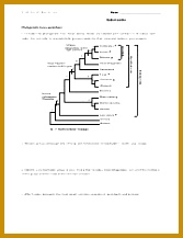 3 pages Phylogenetic trees worksheet pdf 167217
