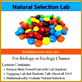 Natural Selection Lab Use Math Evaluate Natural Selection & Evolution 325325