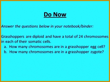 Do Now Answer the questions below in your notebook binder Grasshoppers are diploid 314418