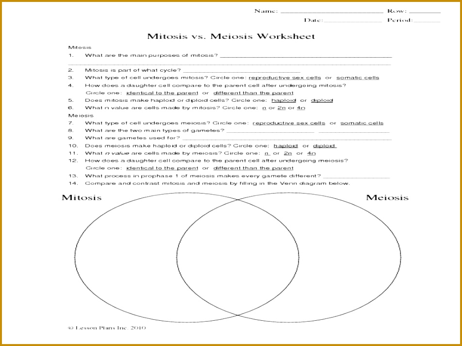 mitosis vs meiosis worksheet p 1 714952