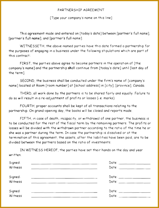 Partner Business Plan Template 28 partner business plan template business partnership 559731