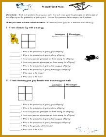 Monohybrid Mice Monohybrid Genetics Problems science biology science teaching 283219