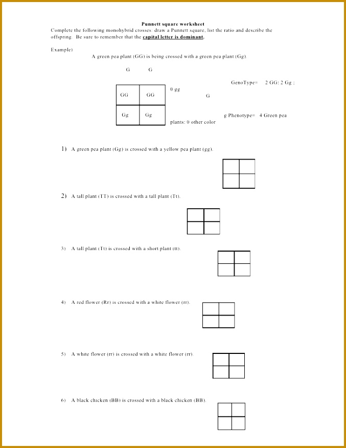 Punnett Square Worksheet by kpolson via slideshare 876677