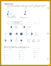 1 pages Pedigree Charts Notes 216167
