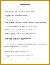 2 pages Wkst 217167