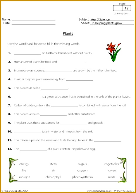 This worksheet describes the process of photosynthesis 658465