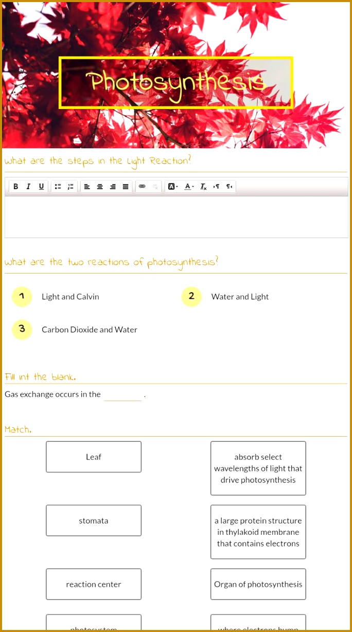 me free interactive Biology synthesis blended worksheet synthesis by teacher Akeah Allen 1229684