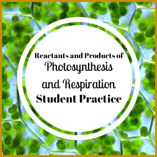 A quick worksheet to reinforce the definitions of reactants and products and to practice finding them 325325
